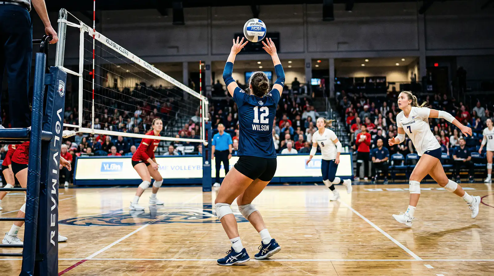 Volleyball-Zuspieler bereitet ein präzises Zuspiel am Netz vor